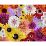 Puzzle flower fun 1