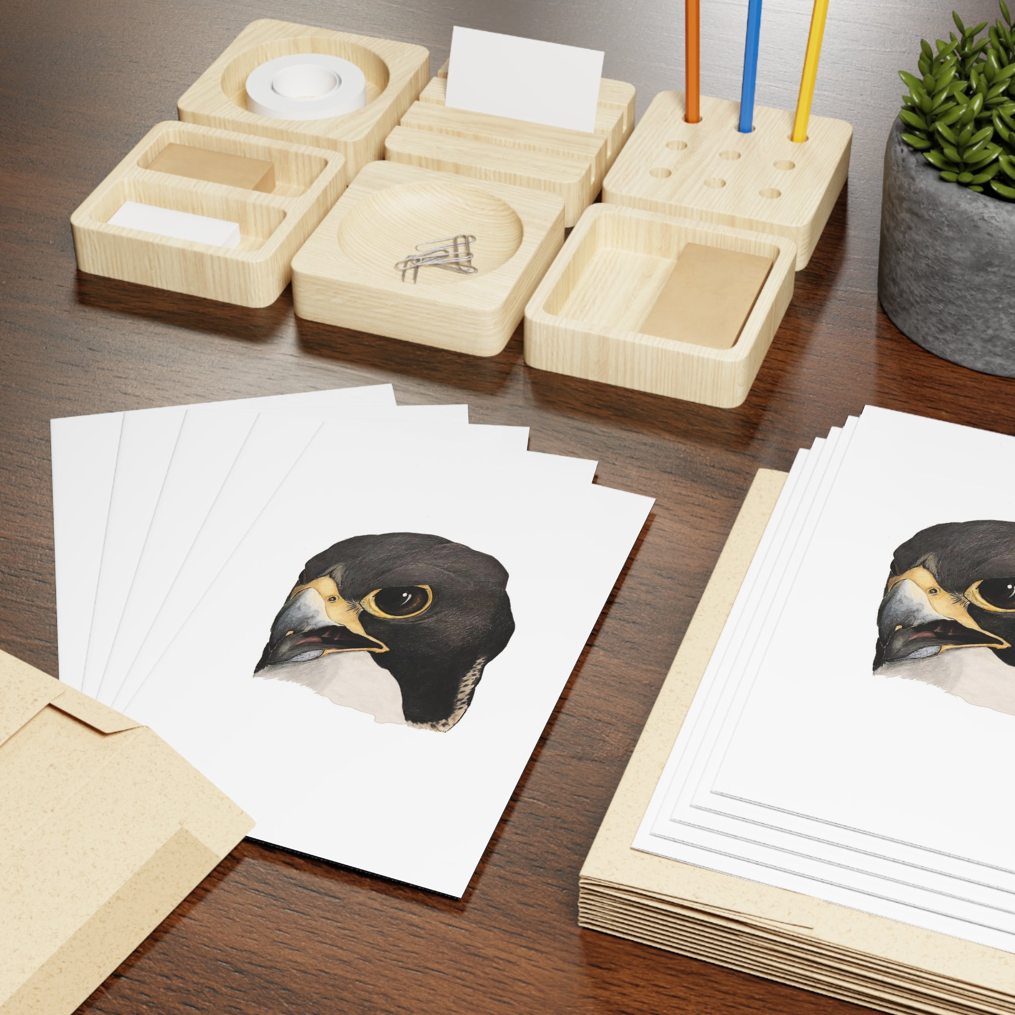 Greeting Cards (10-pcs) peregrine falcon1