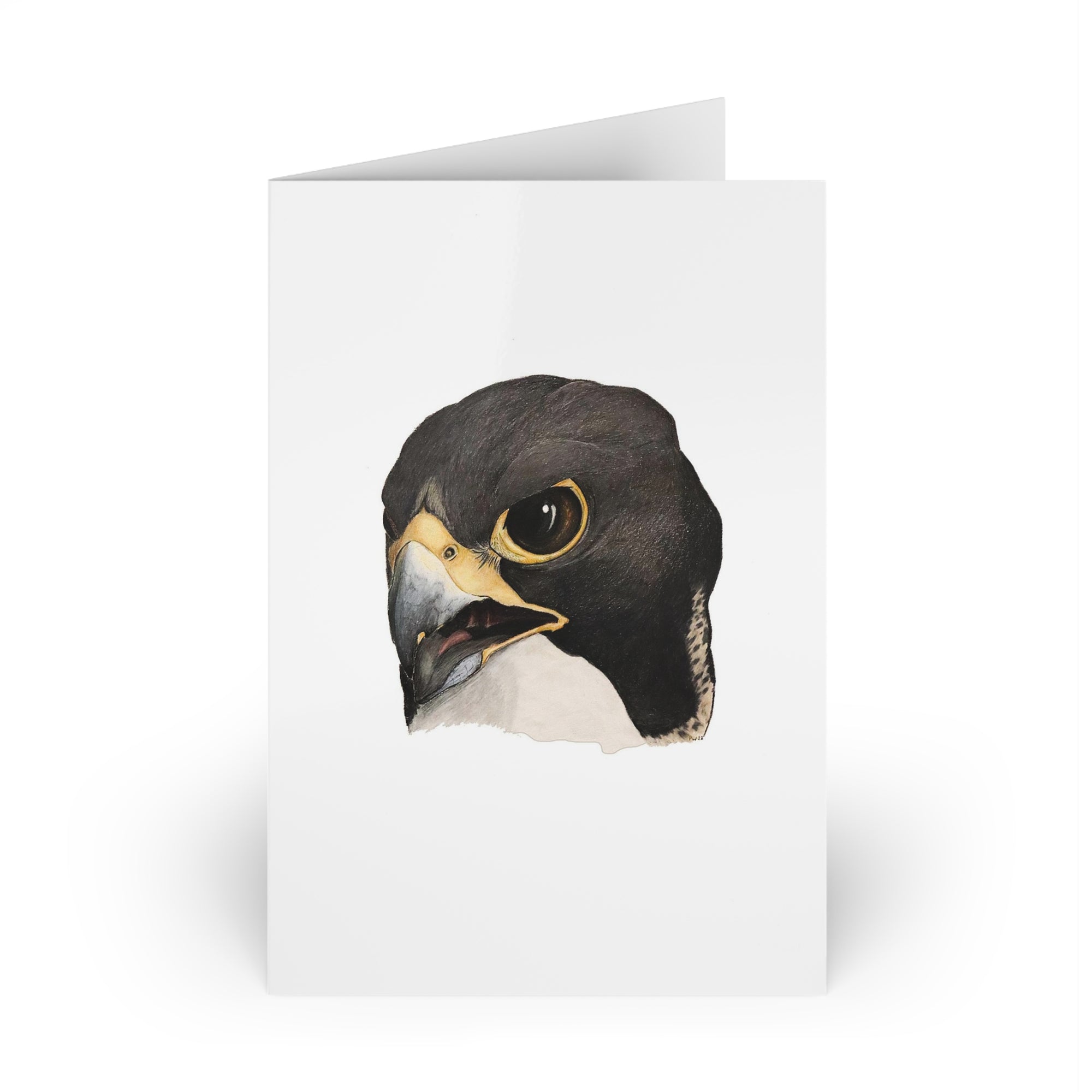 Greeting Cards (10-pcs) peregrine falcon1