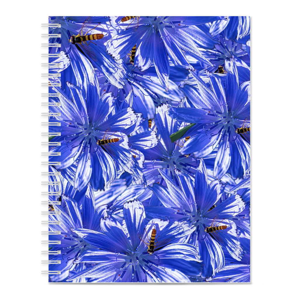 Blank spiral bound notebook blue chicory wildflower floral pattern