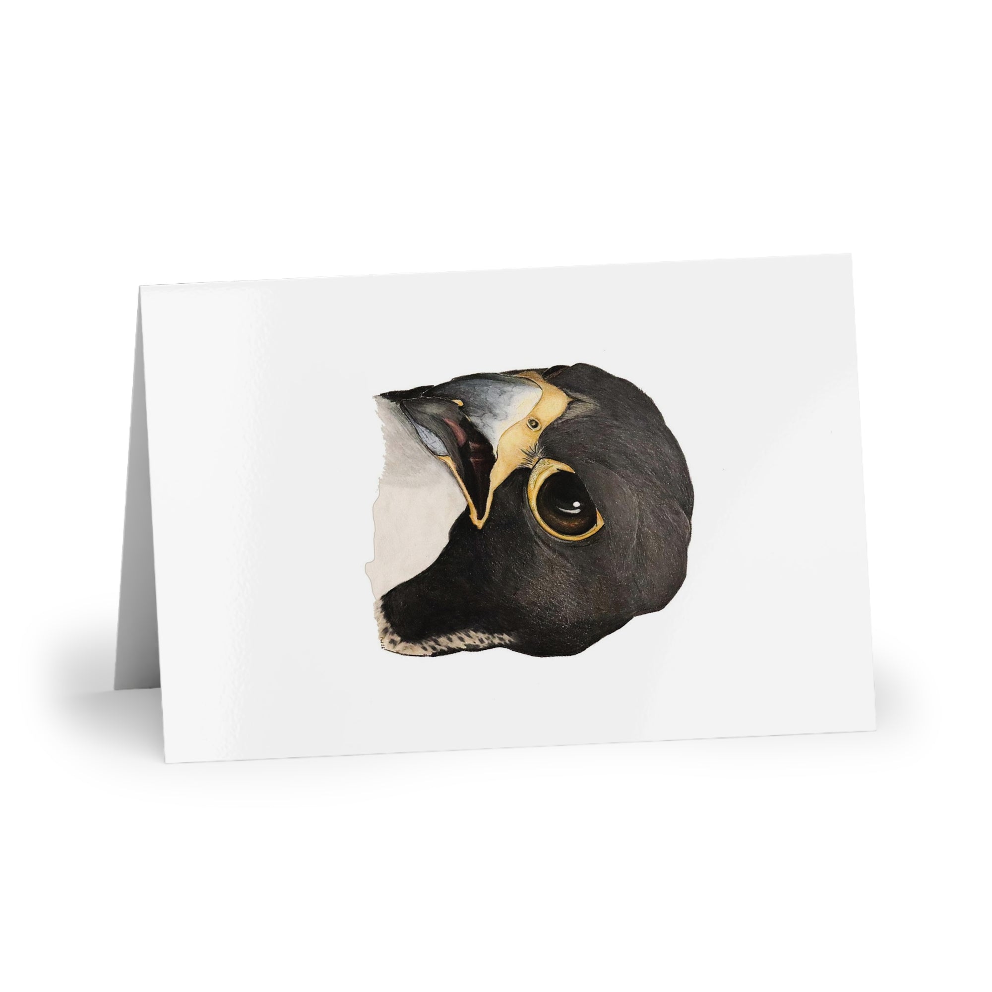 Greeting Cards (10-pcs) peregrine falcon1