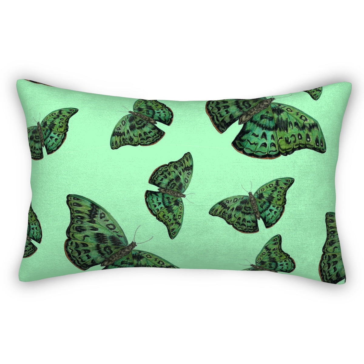 Plush pillow (three sizes available) African Green Butterfly 1