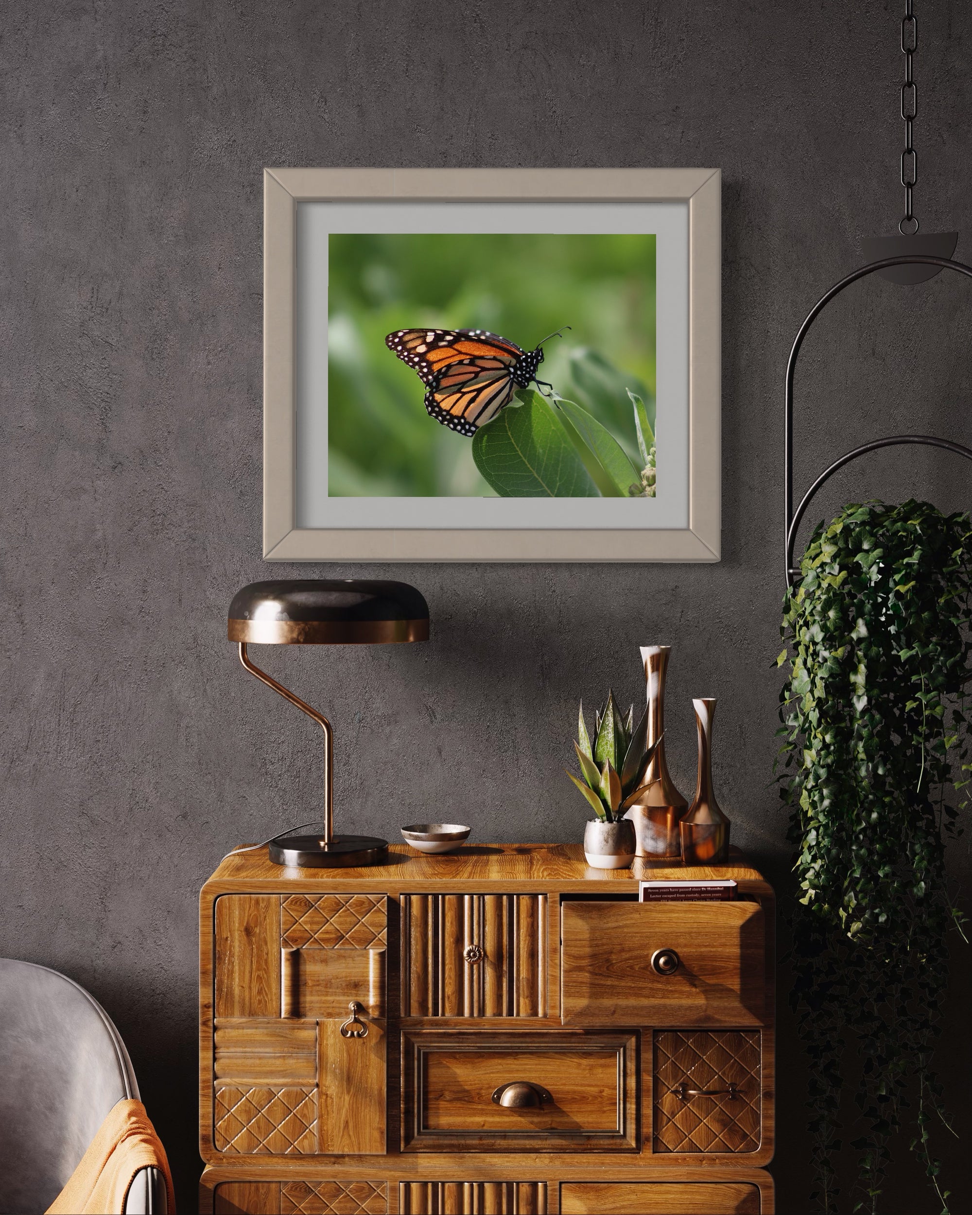 Fine art print 16x20  Monarch butterfly 2