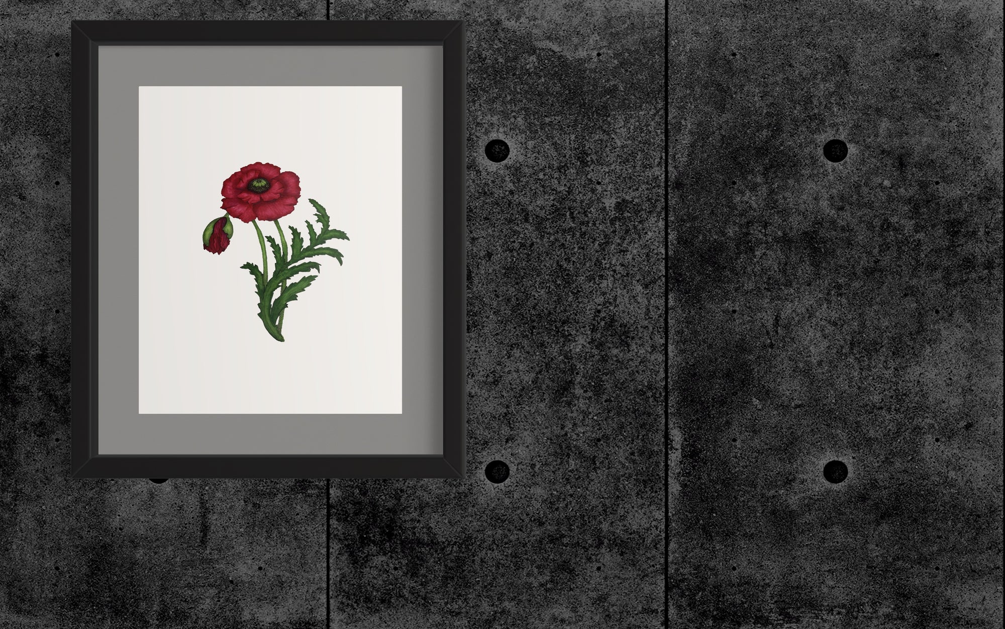 Fine art print 16x20 red poppy 1