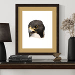 Fine art print 16x20  Peregrine falcon 