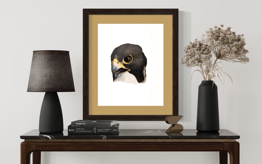 Art print Peregrine Falcon 1