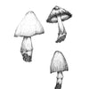 Inkcaps 1 print